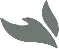 欧洲杯买球 Dove Logo